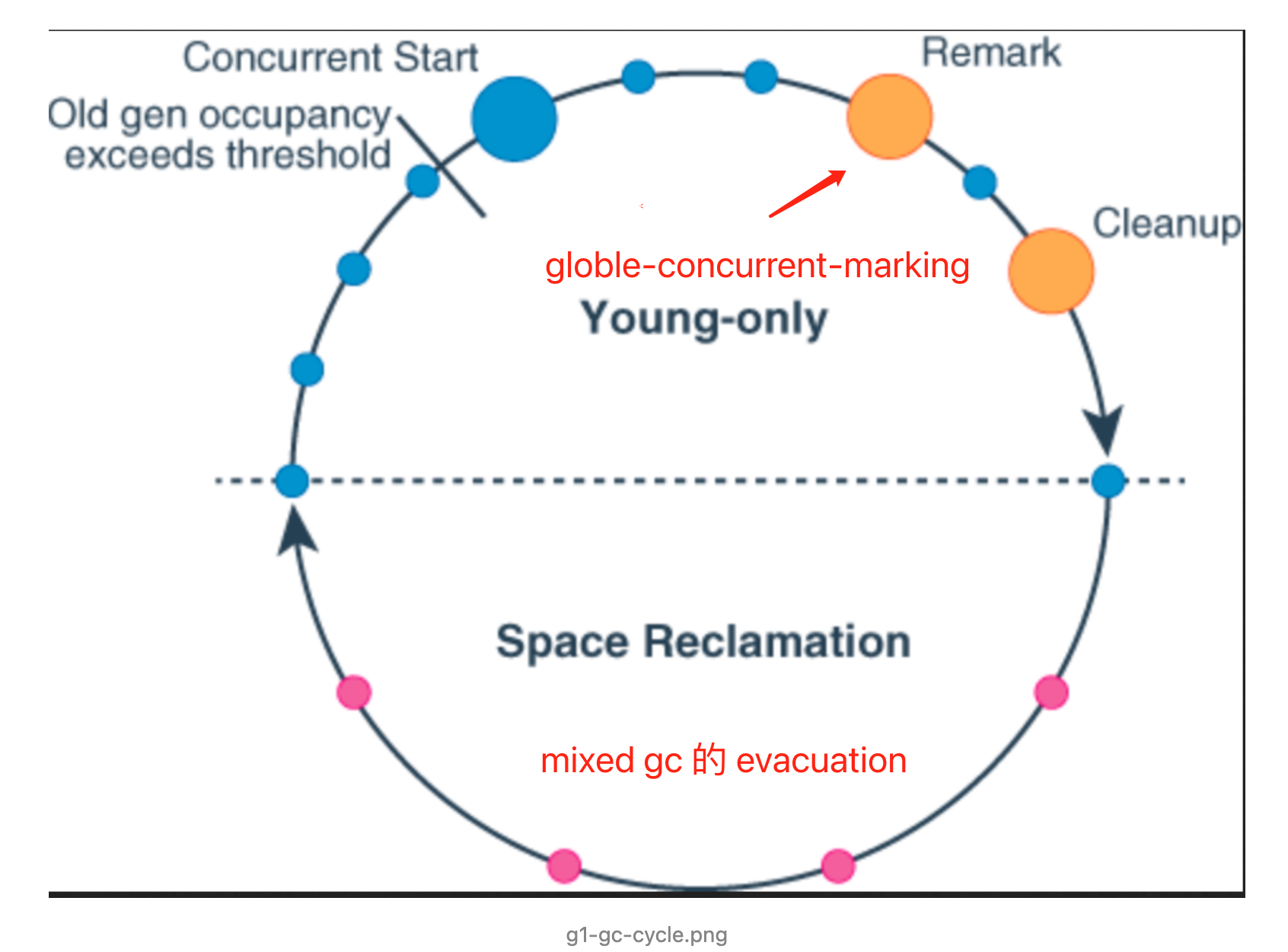 g1-gc-cycle