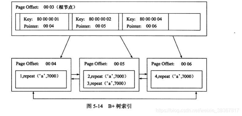 B+树索引