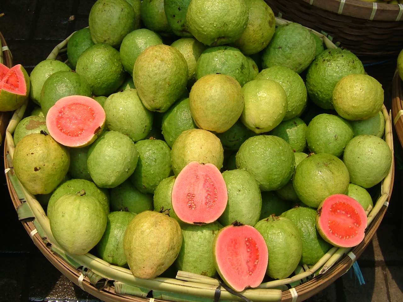 Guava 解析